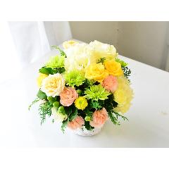 ���炩�Ȓ��z�̂悤��