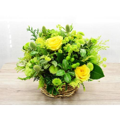 �i�`�������O���[��