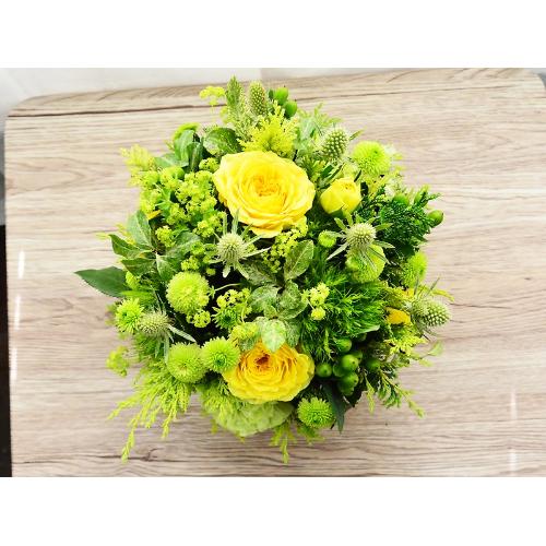 �i�`�������O���[��2
