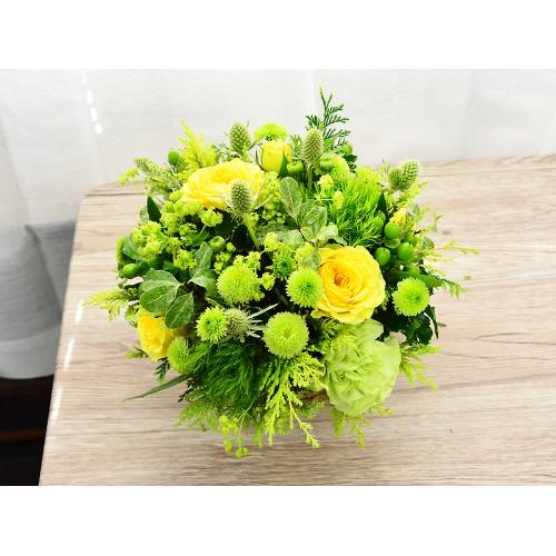 �i�`�������O���[��3