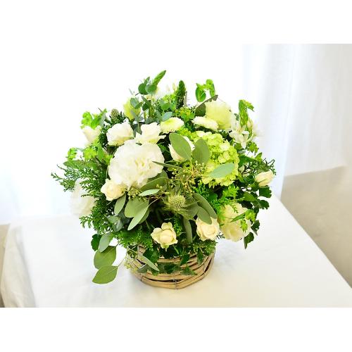 �z���C�g�O���[���̃i�`�������A�����W2