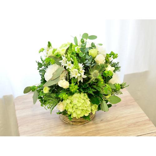 �z���C�g�O���[���̃i�`�������A�����W4