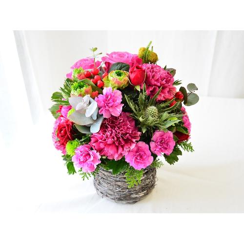 �S�͂��ޖ��邢�F2