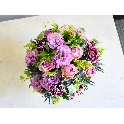 �l�C�̃p�[�v���A�����W2