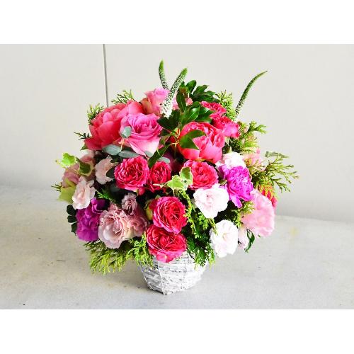 �s���N�O���f�[�V�����̉؂₩�A�����W�����g