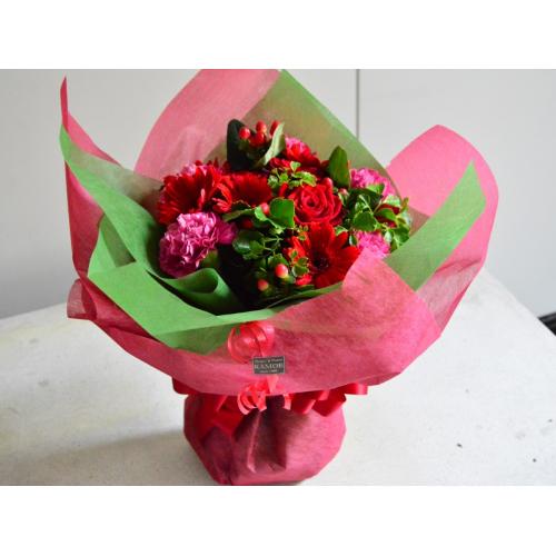 �V���O���J���[�u�[�P�@���b�h2