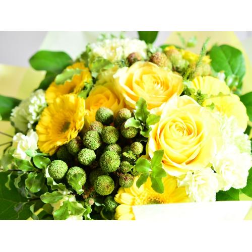 �C�G���[�u�[�P2