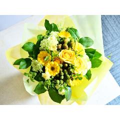 �C�G���[�u�[�P