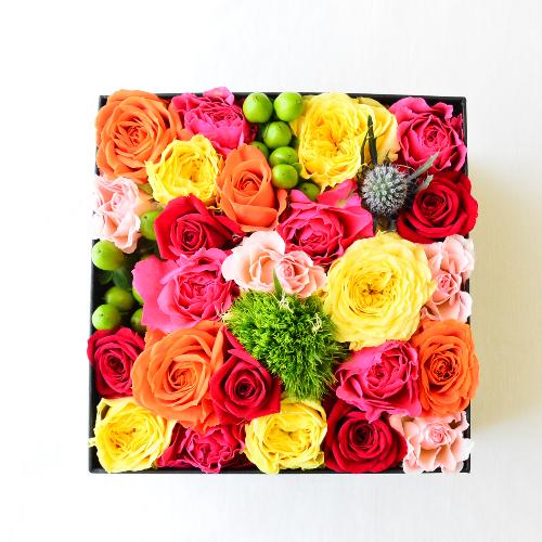 �J���t���ȃ~�j�o�������̑傫�߂a�n�w�t�����[2