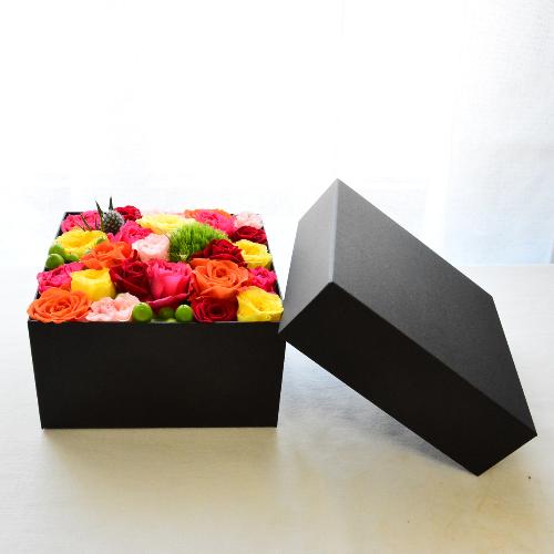 �J���t���ȃ~�j�o�������̑傫�߂a�n�w�t�����[3