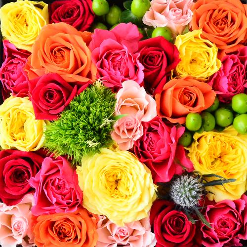 �J���t���ȃ~�j�o�������̑傫�߂a�n�w�t�����[5