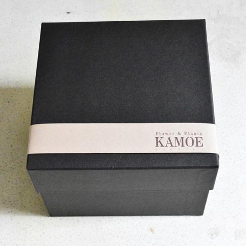 �J���t���ȃ~�j�o�������̑傫�߂a�n�w�t�����[6