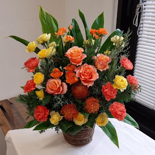���F�I�����W�r�r�b�h�̂��j���A�����W