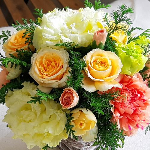 ���邢�p�X�e���J���[�̃A�����W4