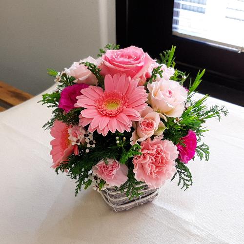 �s���N�p�X�e���̗D�����A�����W4