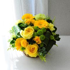�T���V���C��
