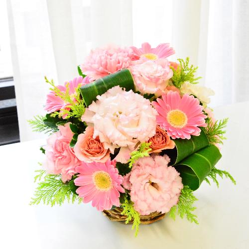�G���K���g�ŗD�����s���N�̃A�����W�����g4