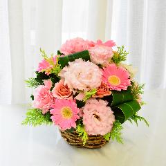�G���K���g�ŗD�����s���N�̃A�����W�����g
