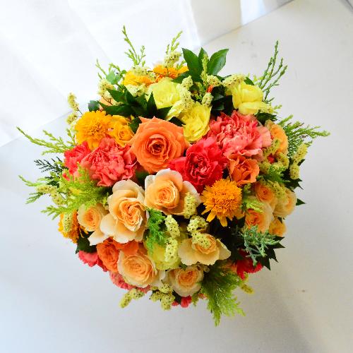 �t���[�c�~�b�N�X2