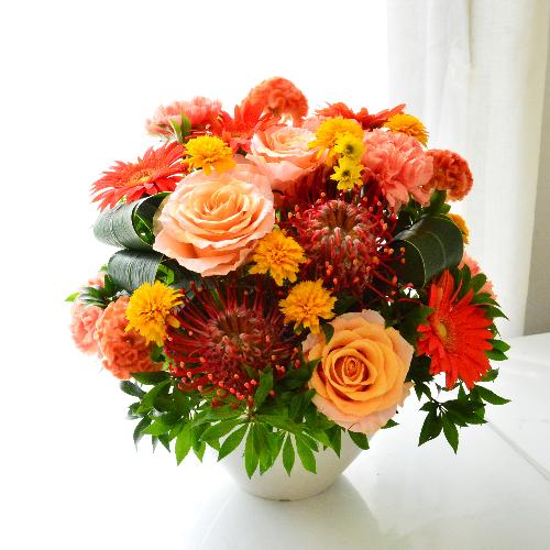 ���O�W���A���[�M�t�g