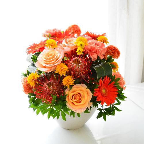 ���O�W���A���[�M�t�g3