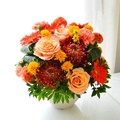 ���O�W���A���[�M�t�g