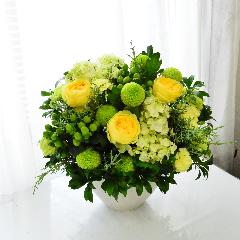 ���t���b�V���O�t�B�[�����O