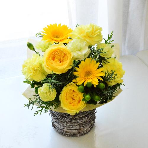 �C�G���[���O���[��