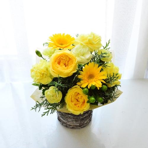 �C�G���[���O���[��2