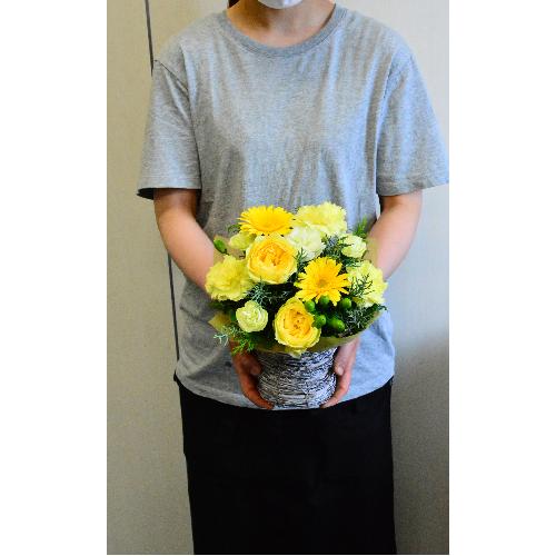 �C�G���[���O���[��3