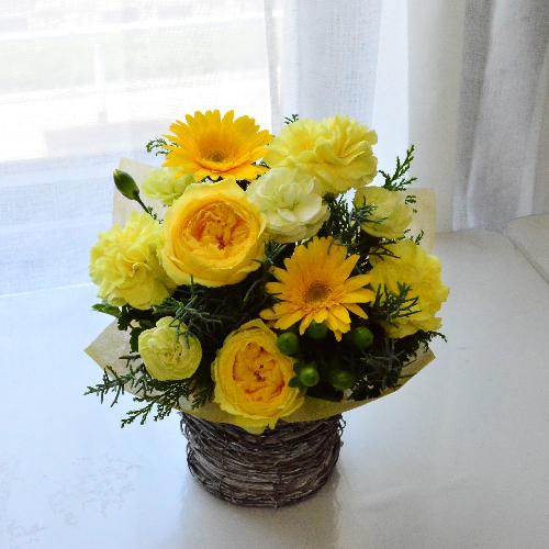 �C�G���[���O���[��4