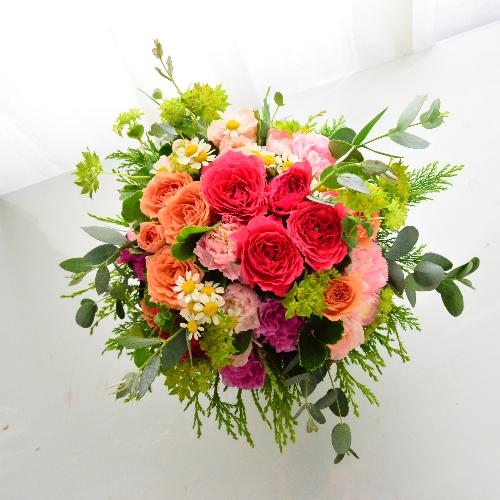 �y�O���X�t���z�s���N�̃i�`�������u�[�P2