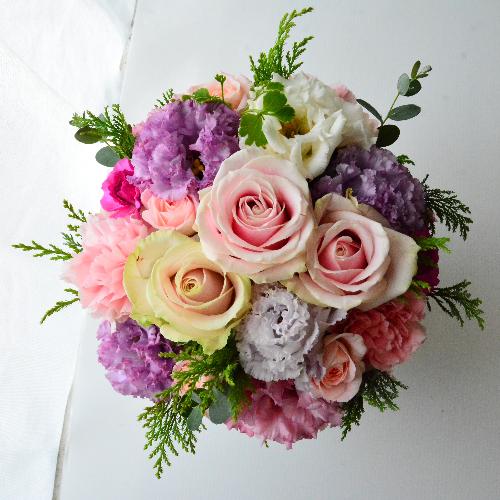 �p�X�e���s���N�ƃ��x���_�[2