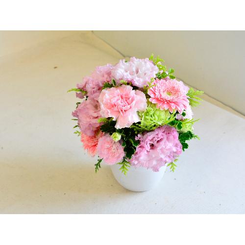 �p�X�e���s���N�̖��₵�̃A�����W2