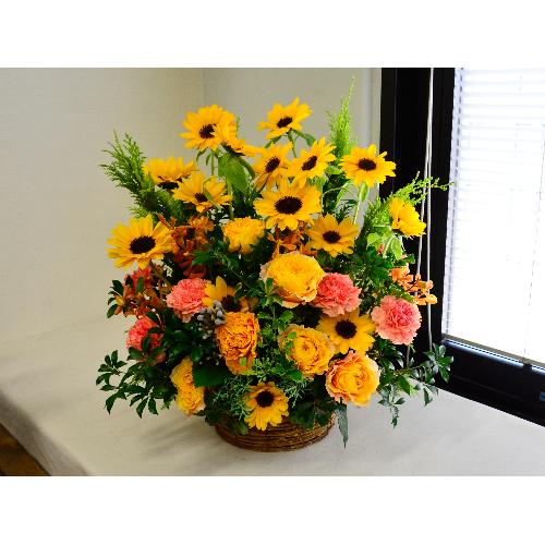�q�}�������C���̍��؂ȃA�����W�����g