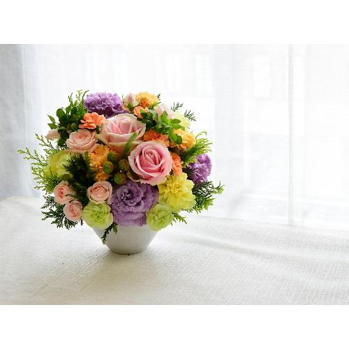 ���邭�D�����@�y�p�X�e���~�b�N�X�@�l�z3