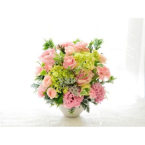 �D�������炵���@�p�X�e���s���N2
