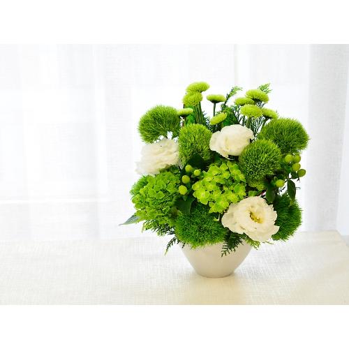 �S���̂������b�N�X�@�O���[���A�����W4