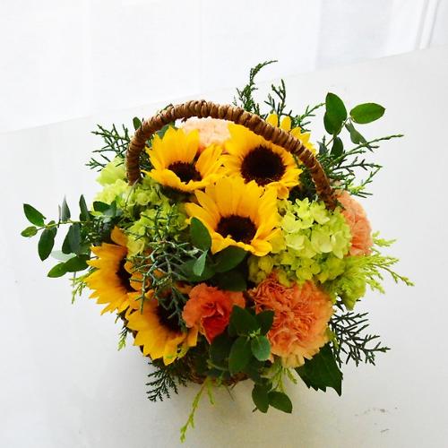 �q�}�����@�o�X�P�b�g�A�����W�@�l2