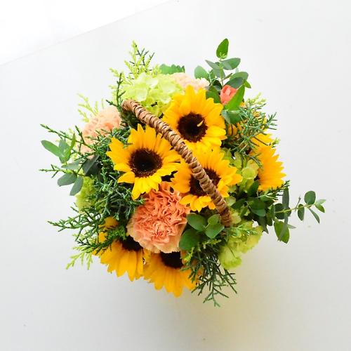 �q�}�����@�o�X�P�b�g�A�����W�@�l3
