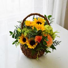 �q�}�����@�o�X�P�b�g�A�����W�@�l