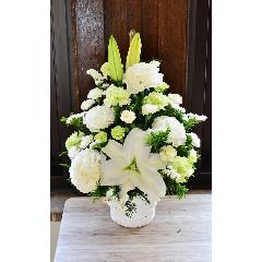 �y�������z���������Ɣ��O���[���̉�