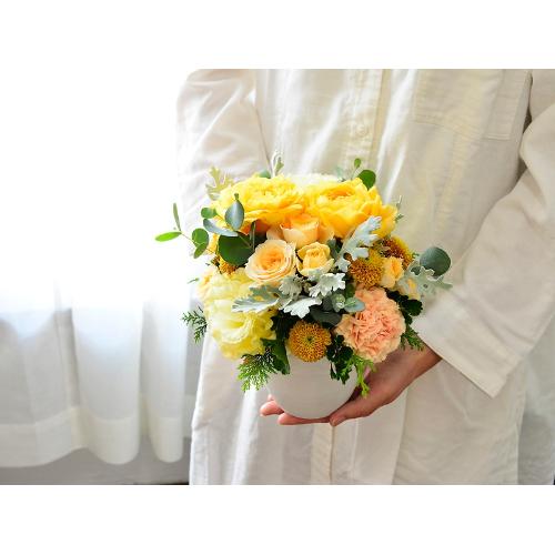 �V���r�[�V�b�N�A�����W�@�r�i���F�I�����W�j
