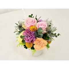 �V���r�[�V�b�N�A�����W�@�r�iMIX�J���[�j