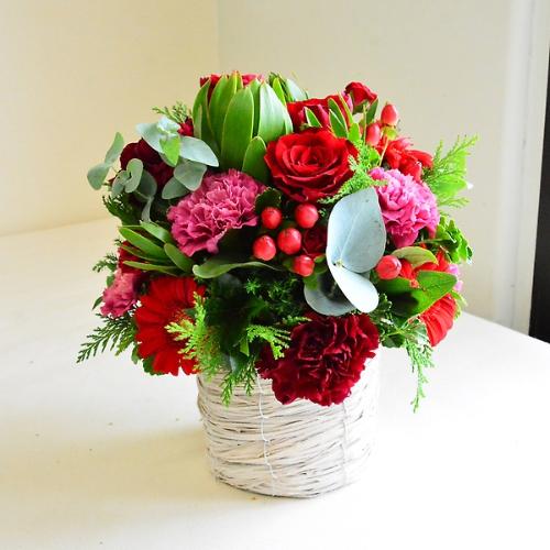�X�e�[�W�̂��Ȃ��։؂₩�ȉԑ���4