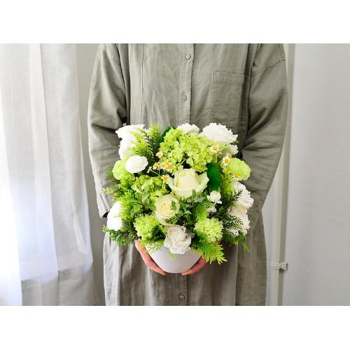 �k�����f���@�r�s�`�q�s�@�y���ƃO���[���̃A�����W�z