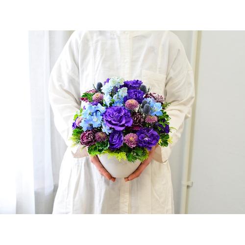�Ê�����A�����̌�j���Ɏ��u���[�r�r�b�h�A�����W