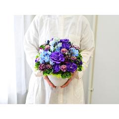 �Ê�����A�����̌�j���Ɏ��u���[�r�r�b�h�A�����W