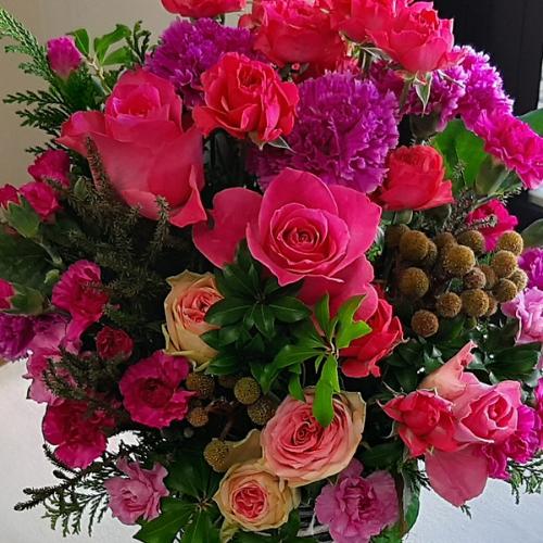 �؂₩�s���N�̃A�����W�����g4