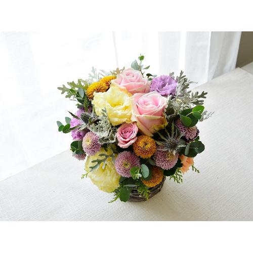 �V���r�[�V�b�N�A�����W�iMIX�J���[�j2